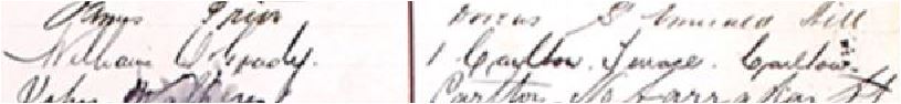 1878 William O'Grady signature PP Petiton CFC image.jpg
